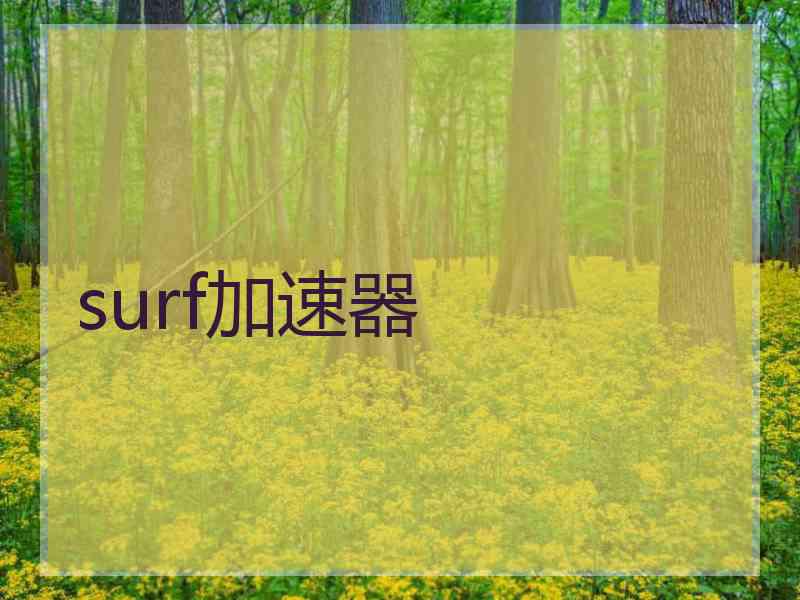 surf加速器