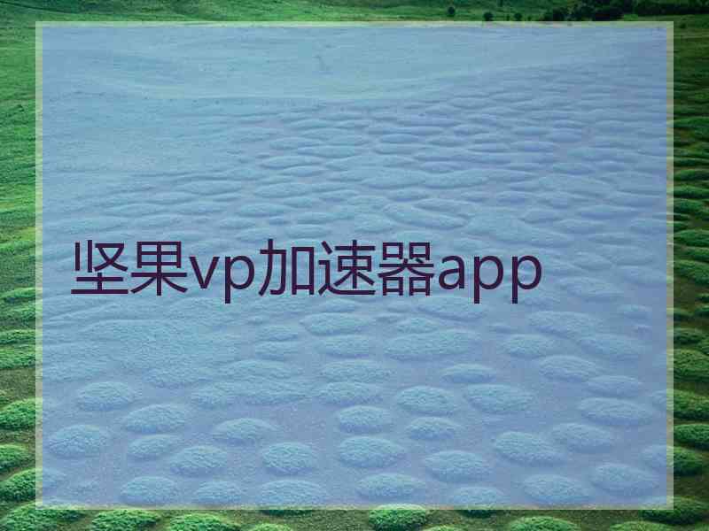 坚果vp加速器app