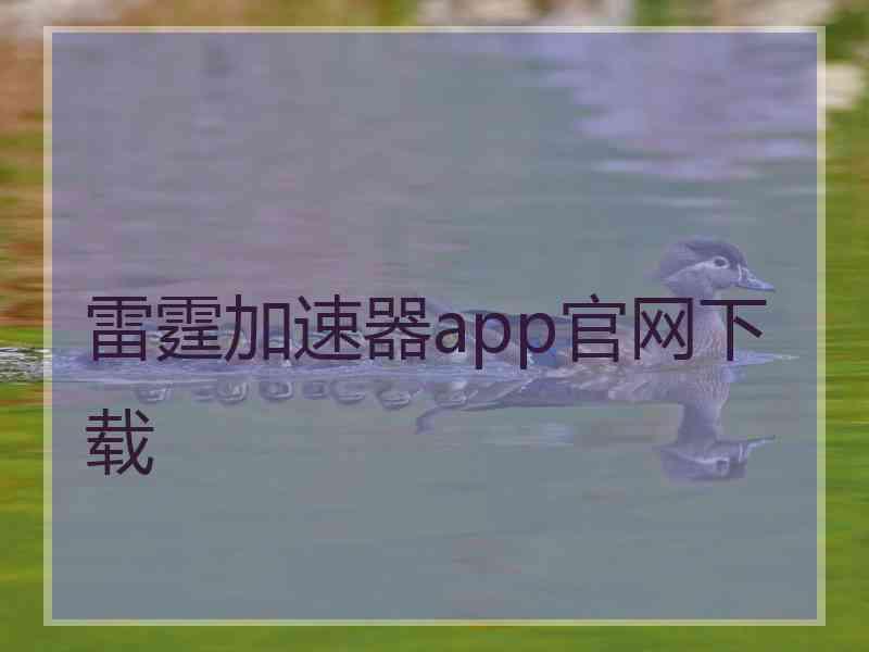 雷霆加速器app官网下载