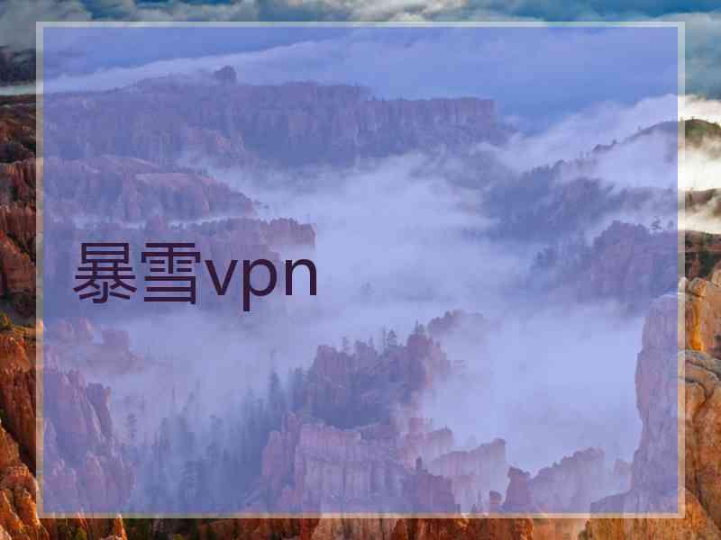 暴雪vpn