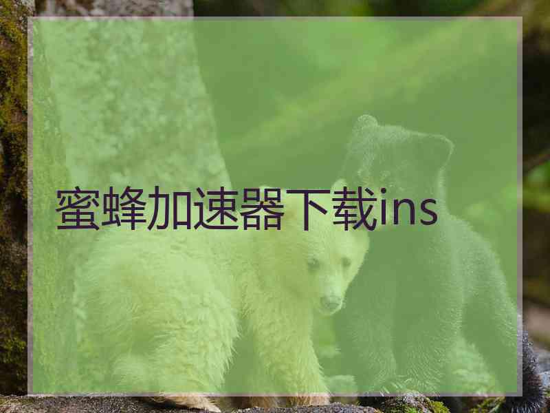 蜜蜂加速器下载ins