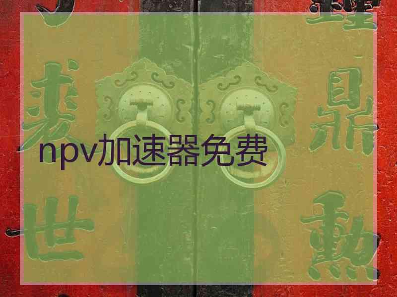 npv加速器免费