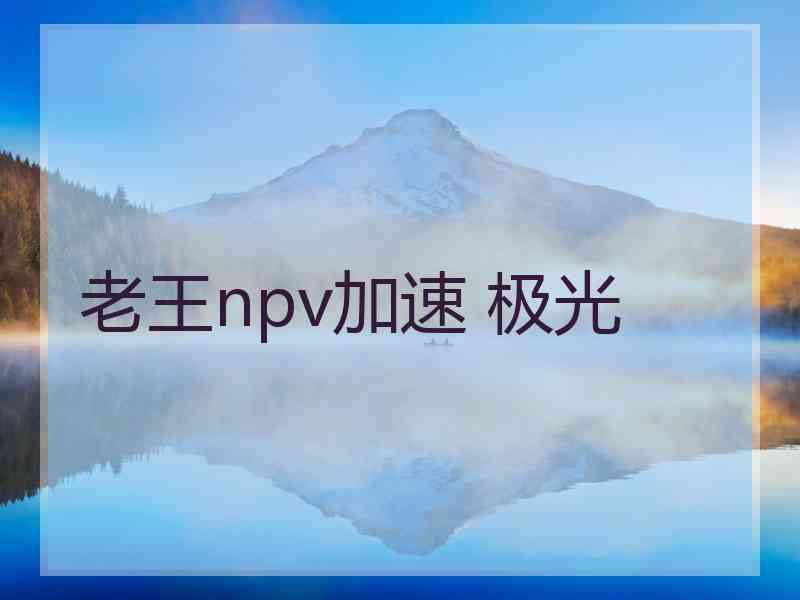 老王npv加速 极光