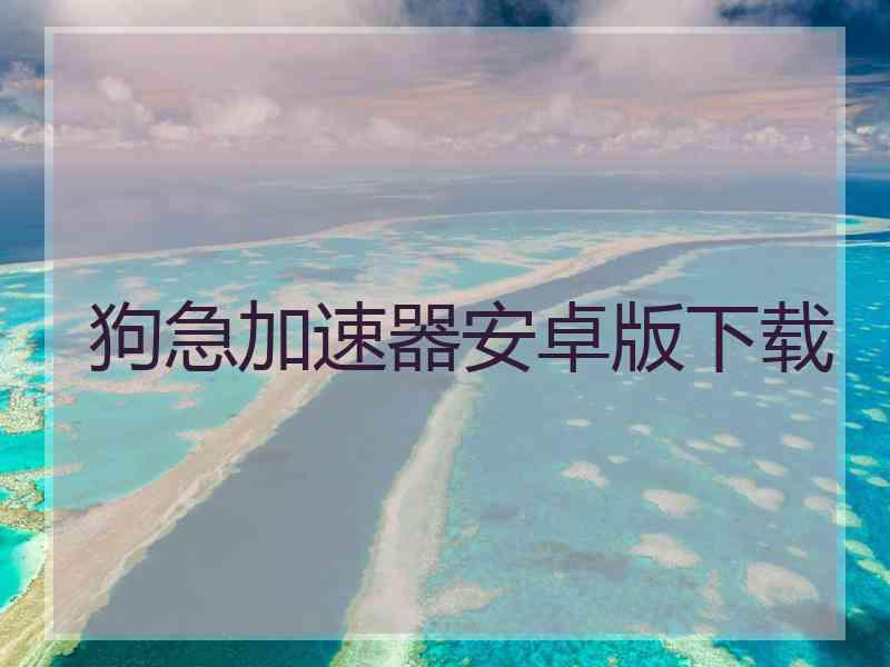 狗急加速器安卓版下载