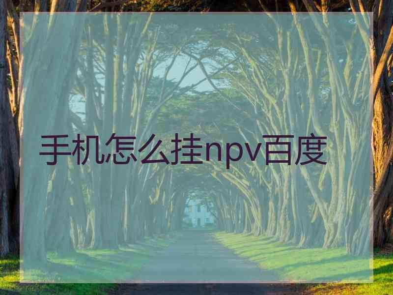 手机怎么挂npv百度