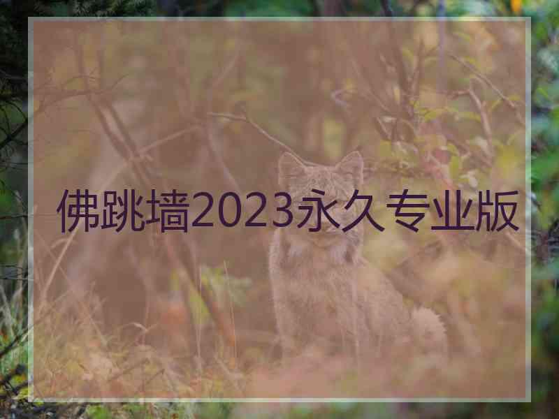 佛跳墙2023永久专业版