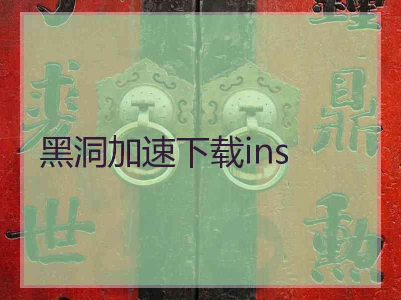 黑洞加速下载ins