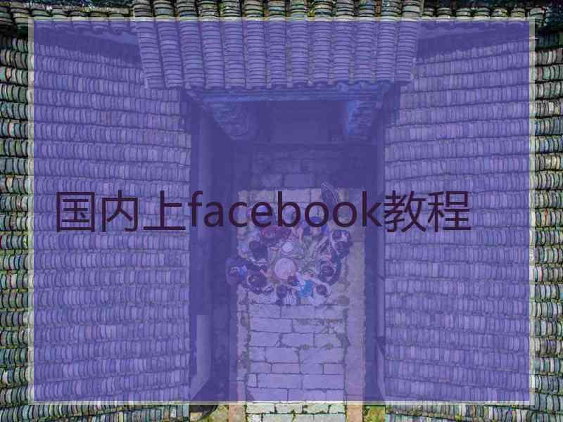 国内上facebook教程