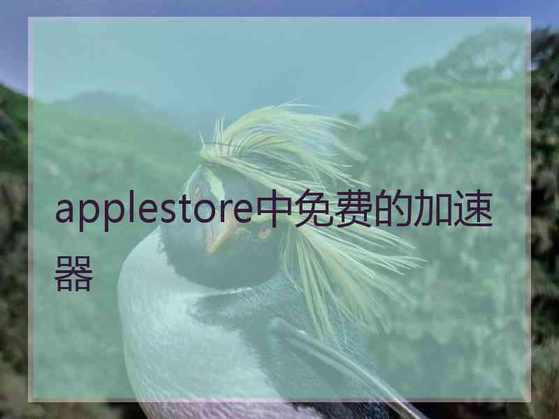 applestore中免费的加速器