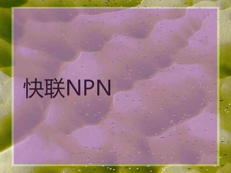 快联NPN