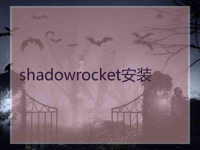 shadowrocket安装