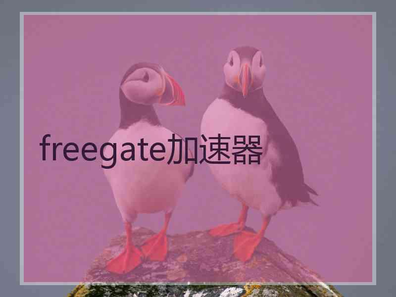 freegate加速器