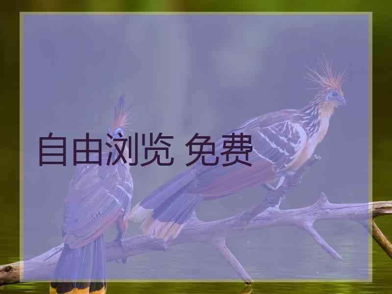 自由浏览 免费