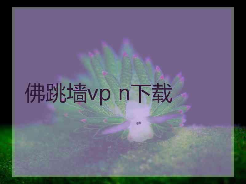 佛跳墙vp n下载