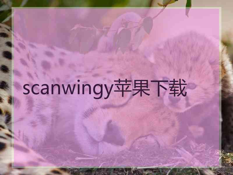 scanwingy苹果下载