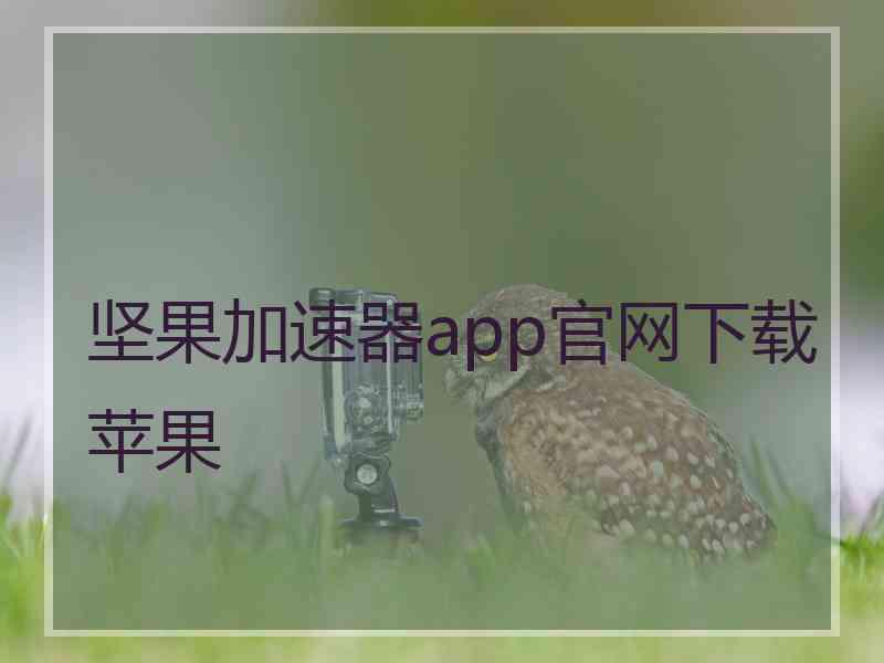 坚果加速器app官网下载苹果