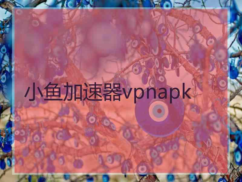 小鱼加速器vpnapk