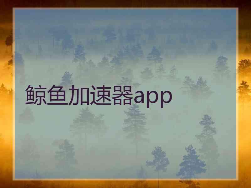 鲸鱼加速器app