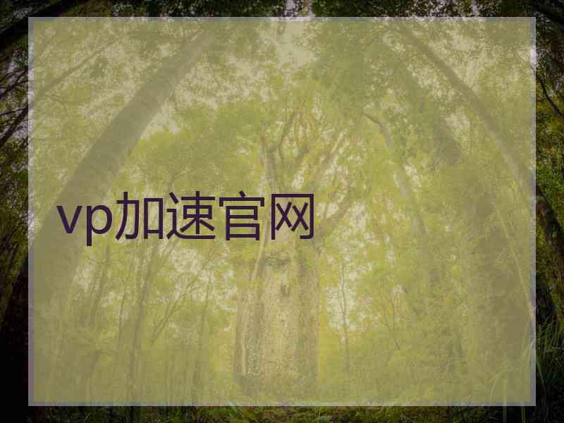 vp加速官网