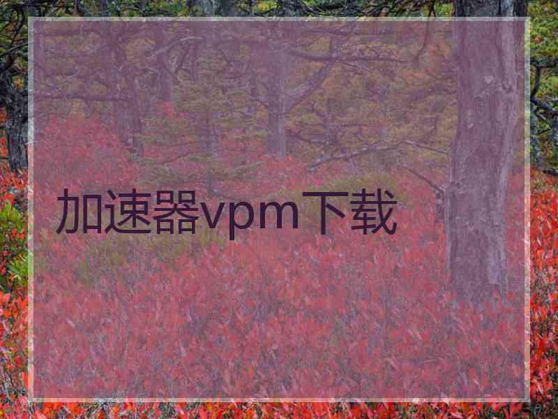 加速器vpm下载