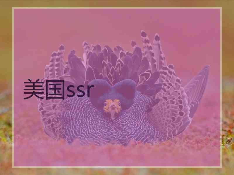 美国ssr