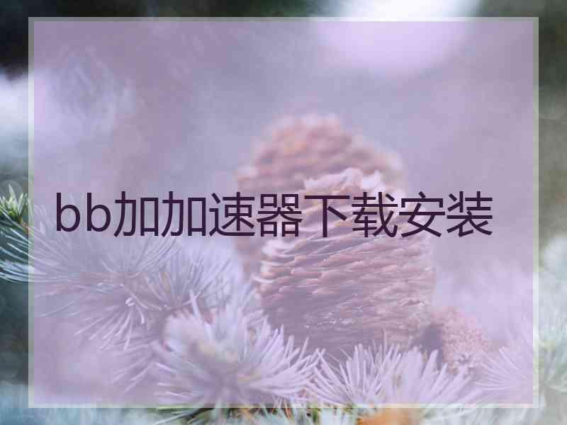 bb加加速器下载安装