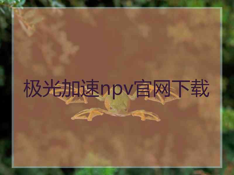 极光加速npv官网下载