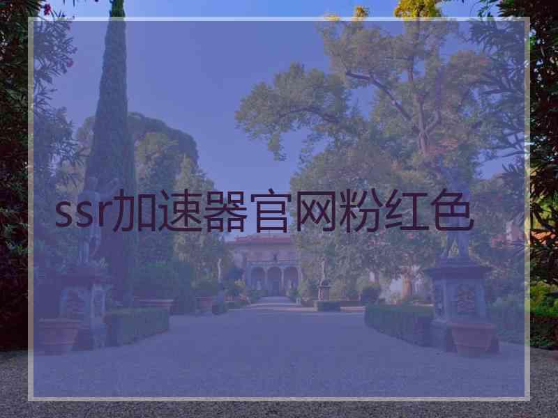 ssr加速器官网粉红色