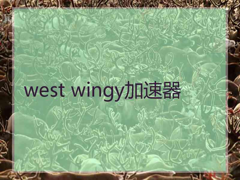 west wingy加速器