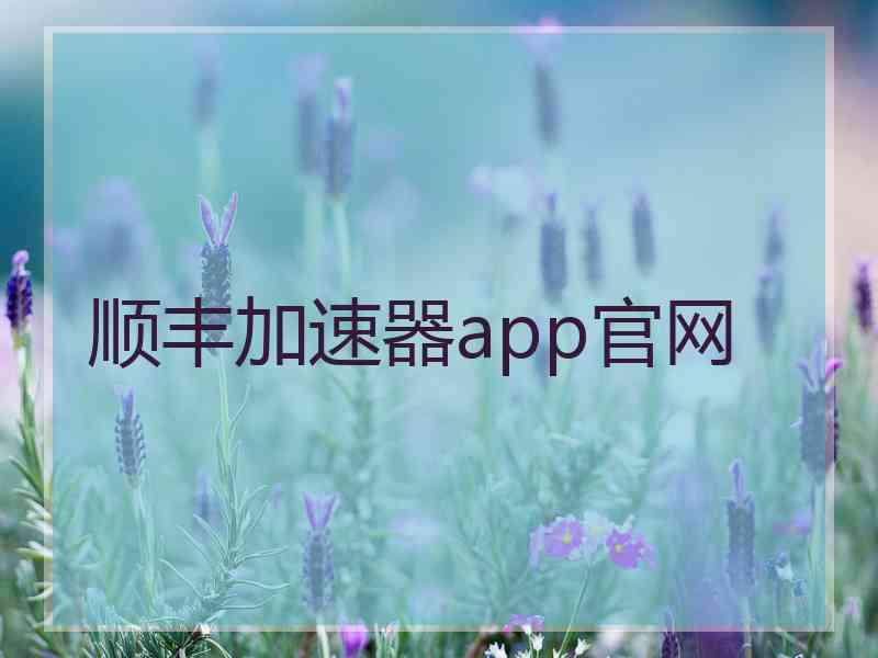 顺丰加速器app官网