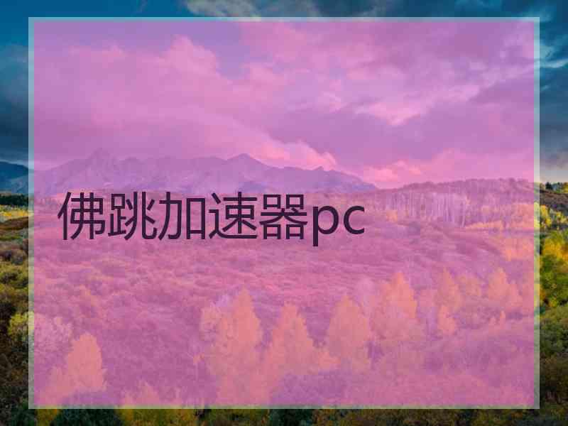 佛跳加速器pc