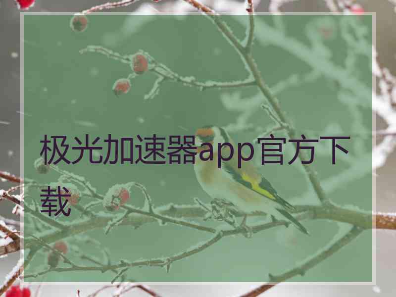 极光加速器app官方下载