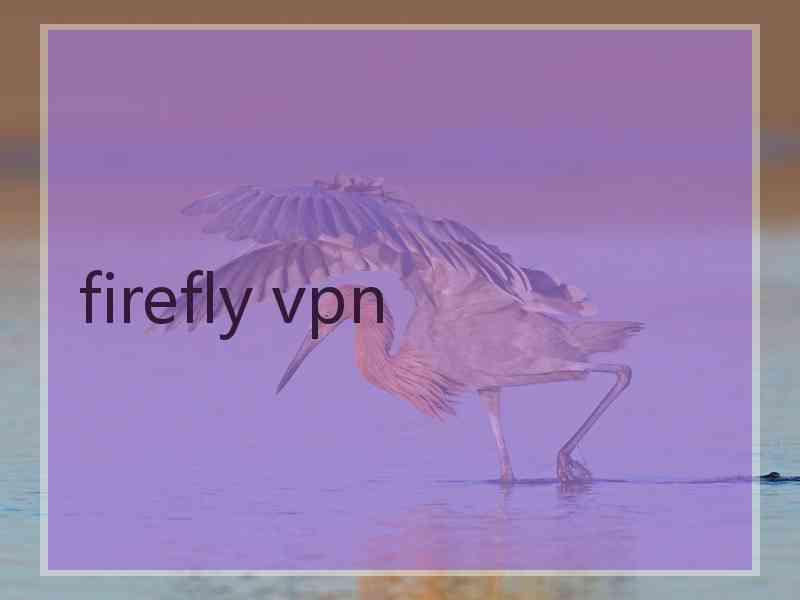 firefly vpn