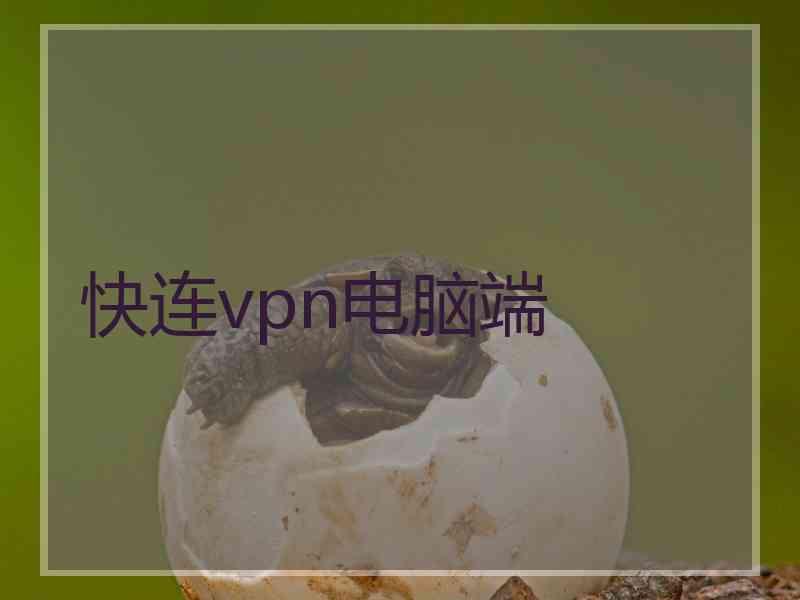 快连vpn电脑端