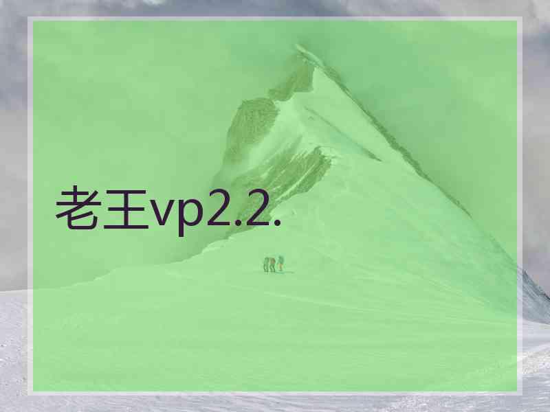 老王vp2.2.