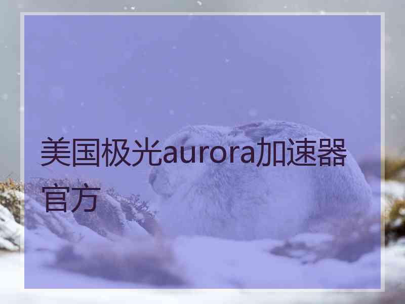 美国极光aurora加速器官方