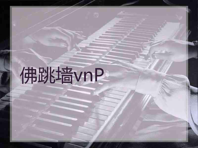 佛跳墙vnP