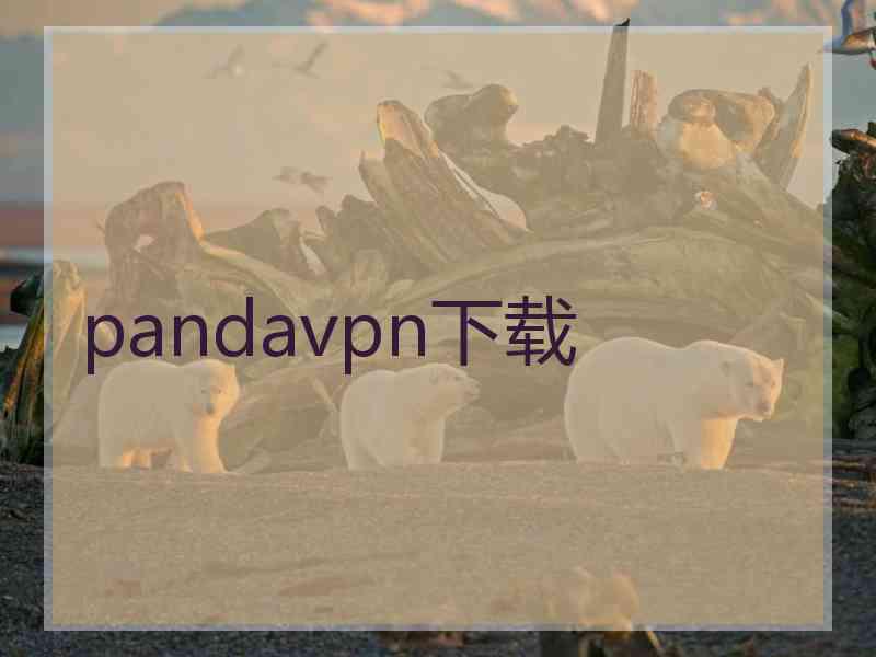 pandavpn下载