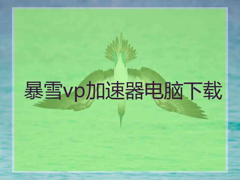 暴雪vp加速器电脑下载