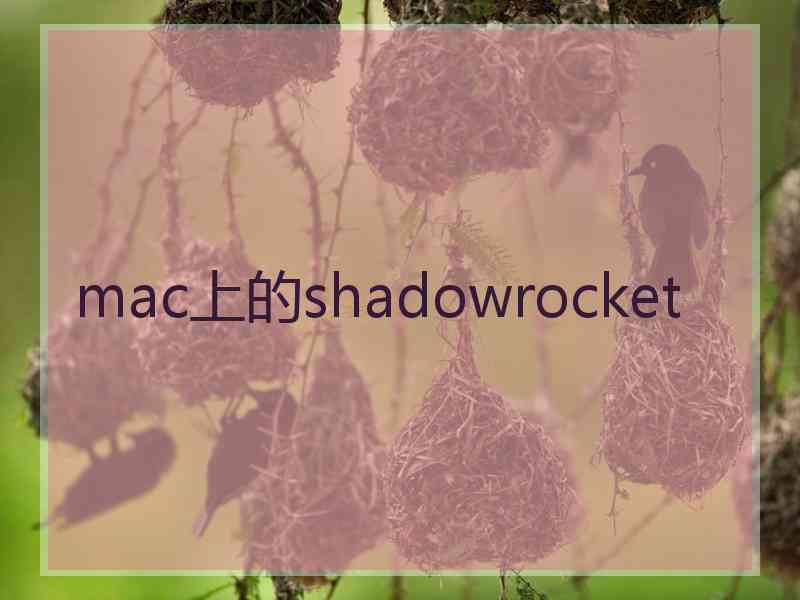 mac上的shadowrocket