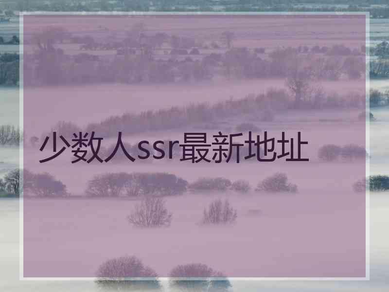 少数人ssr最新地址