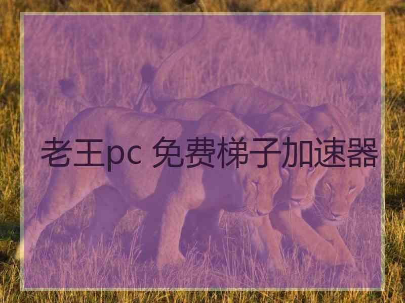 老王pc 免费梯子加速器