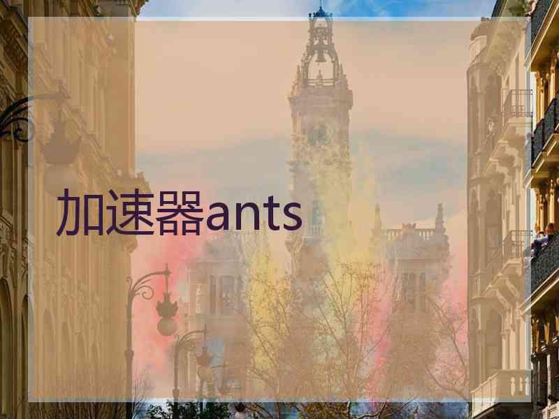 加速器ants