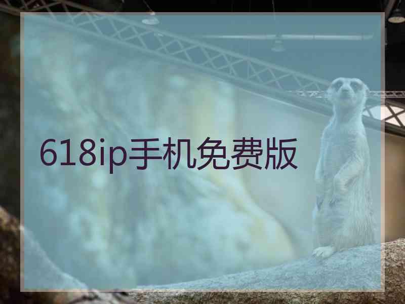 618ip手机免费版