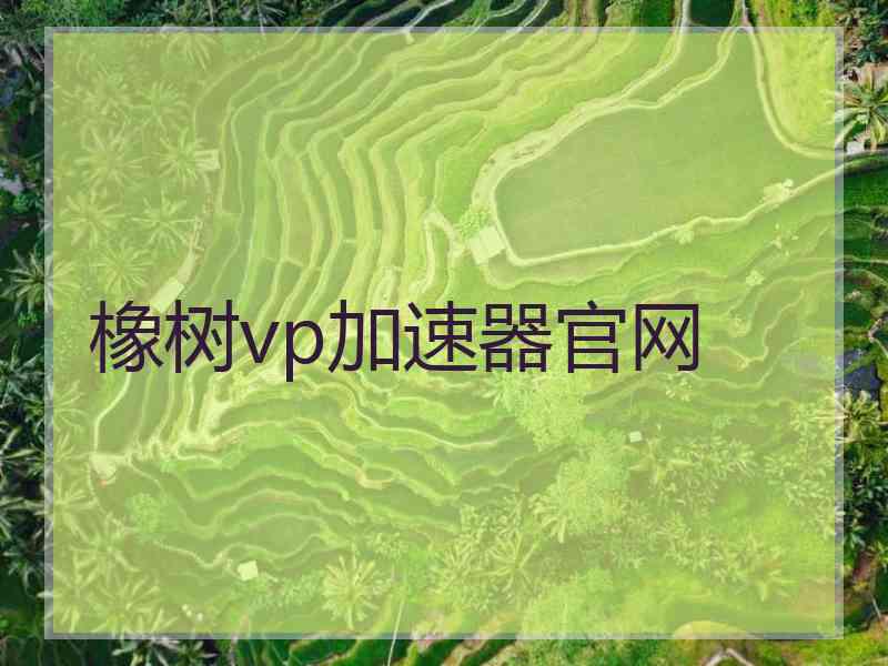 橡树vp加速器官网