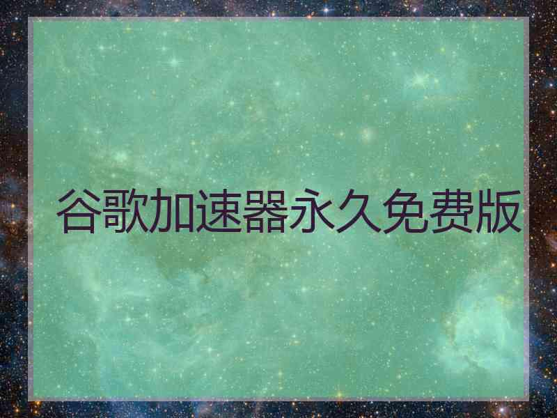 谷歌加速器永久免费版