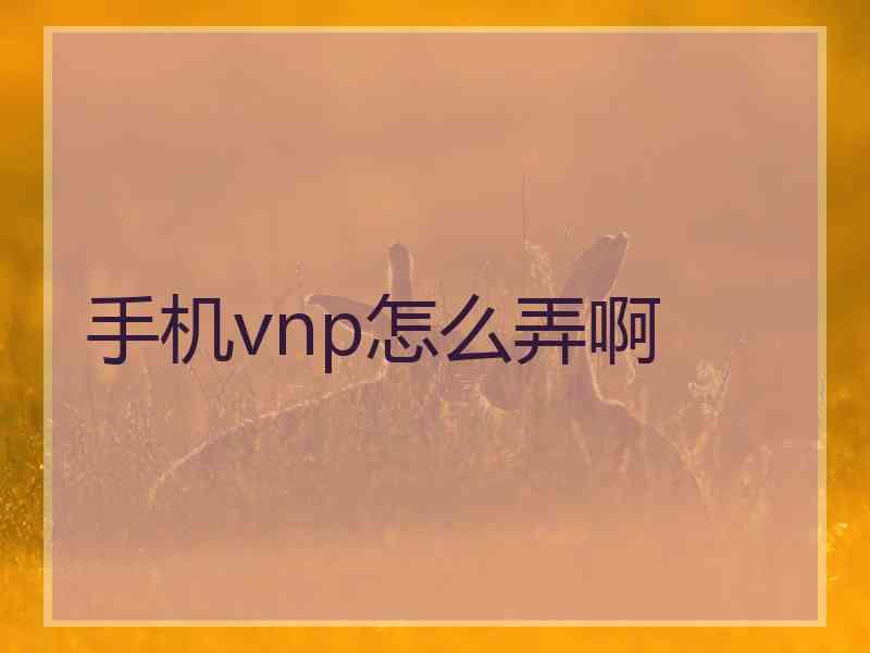 手机vnp怎么弄啊