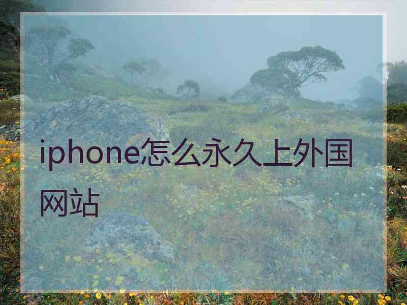 iphone怎么永久上外国网站