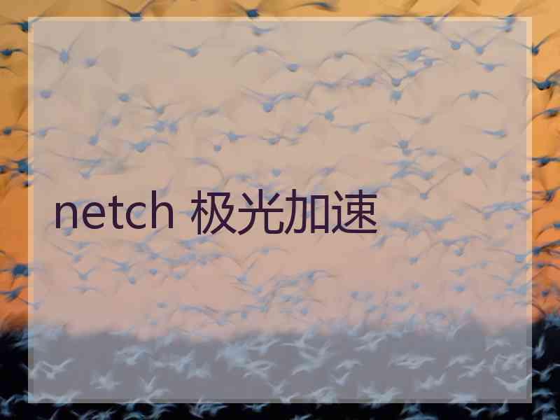 netch 极光加速