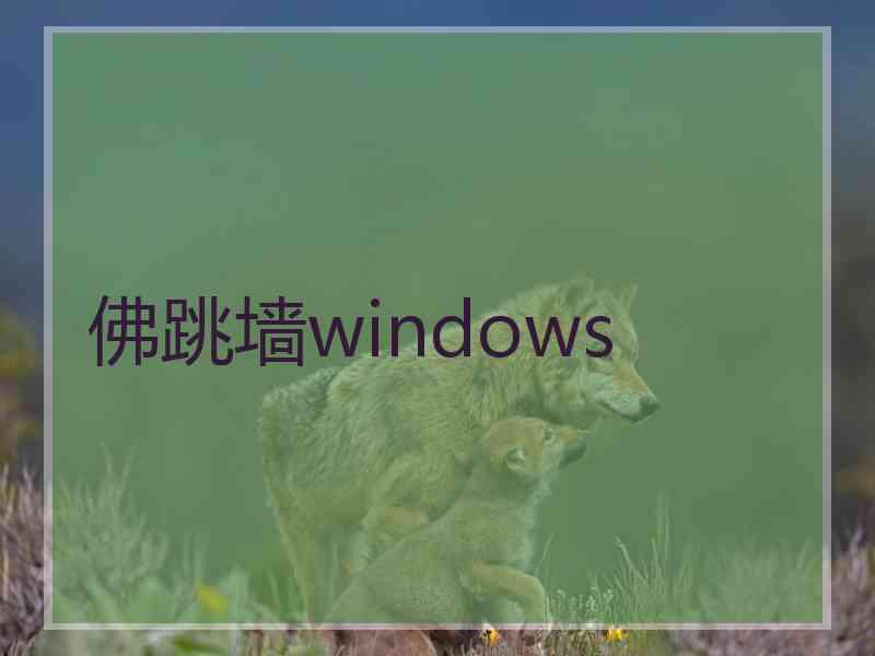 佛跳墙windows